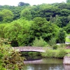 A picture of Barnsley