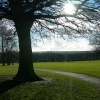 'Graves Park near the farm'in Sheffield