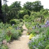 This is a photo taken of the Herbaceous Border at Benington Lordship, Hertfordshire.