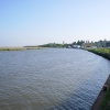 BURGH CASTLE, RIVER WAVENEY