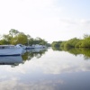 Womack Water, Ludham