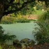 Garden in Avenham Park: Preston, Lancashire
