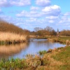 Stockbridge Marsh, Hampshire