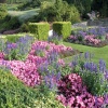 A photo of a garden in Tunbridge Wells, Kent.