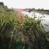 Trent and mersey canal, Alrewas, Staffordshire.