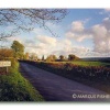 Buckland-in-the-Moor, Dartmoor, County devon, England