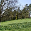 Daffodil Valley at Waddesdon Manor, Buckinghamshire