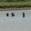 Another pic of the fishermen in the River Axe, Axmouth
