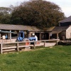 Callestock Cider Farm, Penhallow, Cornwall. 1996.