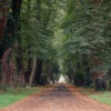 Boston, Lincolnshire. This pretty little picture is actually a shot through Boston Cemetary