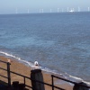 Windmills in the North Sea picture taken from the Britannia Pier, Gt. Yarmouth, Norfolk
