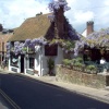 Wisteria covered pub in Rye, East Sussex