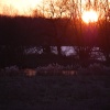Early winter evening, Kingsbury water park, North Warwickshire.