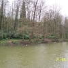 A lake in Swindon, Wiltshire.