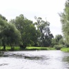 River Cam at Fen Ditton