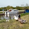 Trent and Mersey Canal, Fradley, Staffordshire