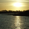 Pitsford Water, Northants