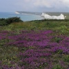 From Beachy Head towards Birling Gap, East Sussex