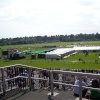 Chester Race Track, Chester