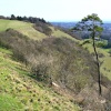 Colley Hill, Reigate, Surrey.