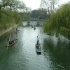 Punting on river Cam, University of Cambridge