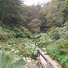 Shanklin Chine, Shanklin, Isle of Wight, 20 September 2005.
