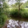 Another picture of the Spring at Icini Village, Cockley Cley, Norfolk