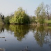A view accross the lake in Mote Park, Maidstone, Kent