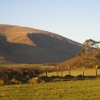 Looking towards Black Combe from Lacra hill, Kirksanton, Cumbria