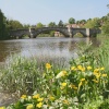 A strong tidal current passes under Aylesford Bridge, Kent