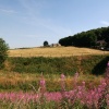Withnell Views