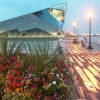 Kingston upon Hull, East Riding of Yorkshire