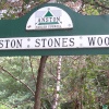 Anston woods, North Anston, South Yorkshire