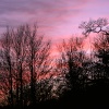 Haddiscoe Sunset, Norfolk