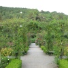 Beautiful Garden at RHS Garden Rosemoor, Great Torrington, Devon