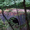 Woods, North Anston, South Yorkshire