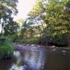 The river running through to bridge at Wetton Mill