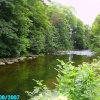 River, Tavistock, Devon