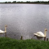 Hickling Broad