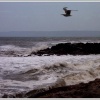 Rough sea