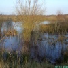 Nature Reserve, Hatfield Moor
