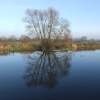 River Soar near Sileby lock