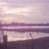 The wildfowl reserve early morning