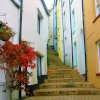 Temperence Steps, Brixham, Devon