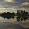 Early morning at Hatchet Pond, New Forest, Hampshire