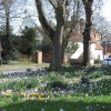 Bilton Village Green, Warwickshire
