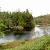 Tarn Hows, Cumbria. September 2007.