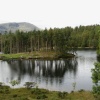 Tarn Hows, Cumbria. September 2007.