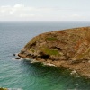 Coast near Portreath, July.  Cornwall.