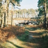 St. Cuthbert's Cave, Holy Island